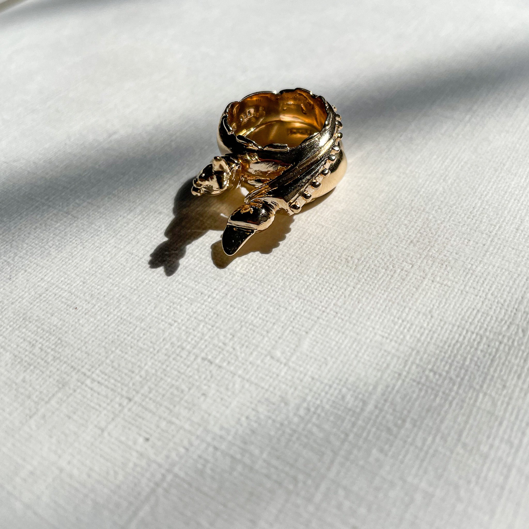 THE GOLDEN LOVERS BUG
