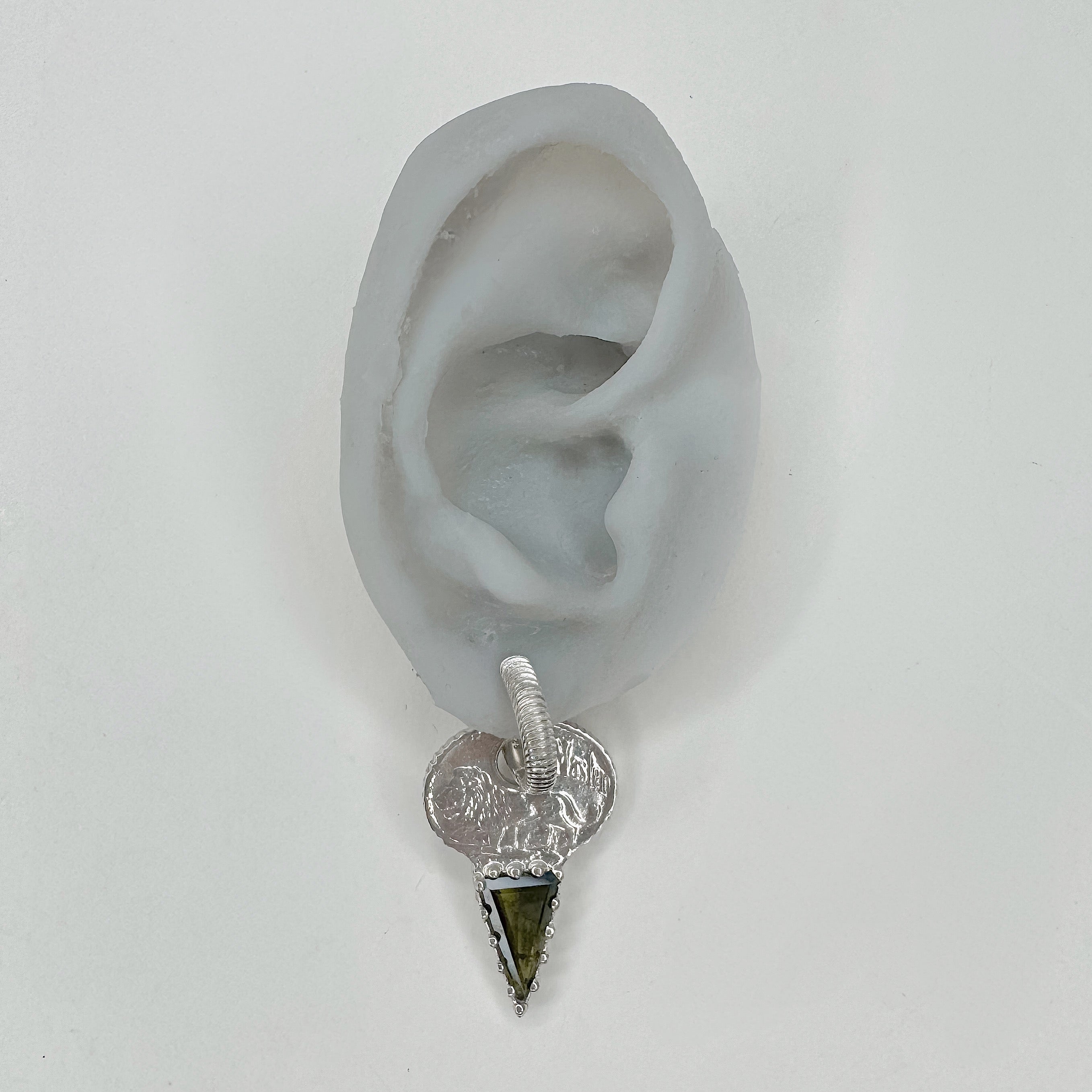 Lion Key Earrings Set