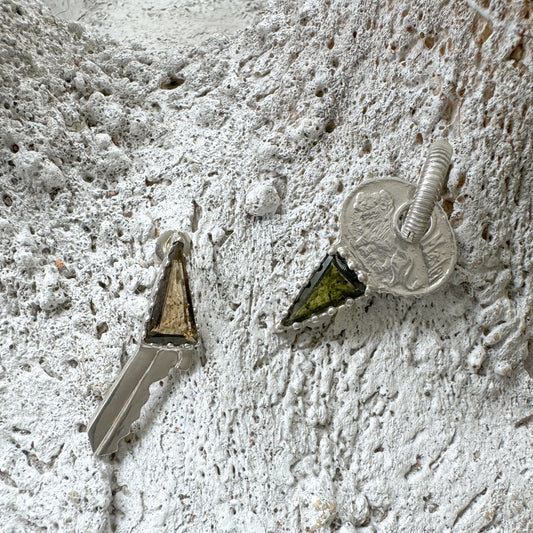 Lion Key Earrings Set