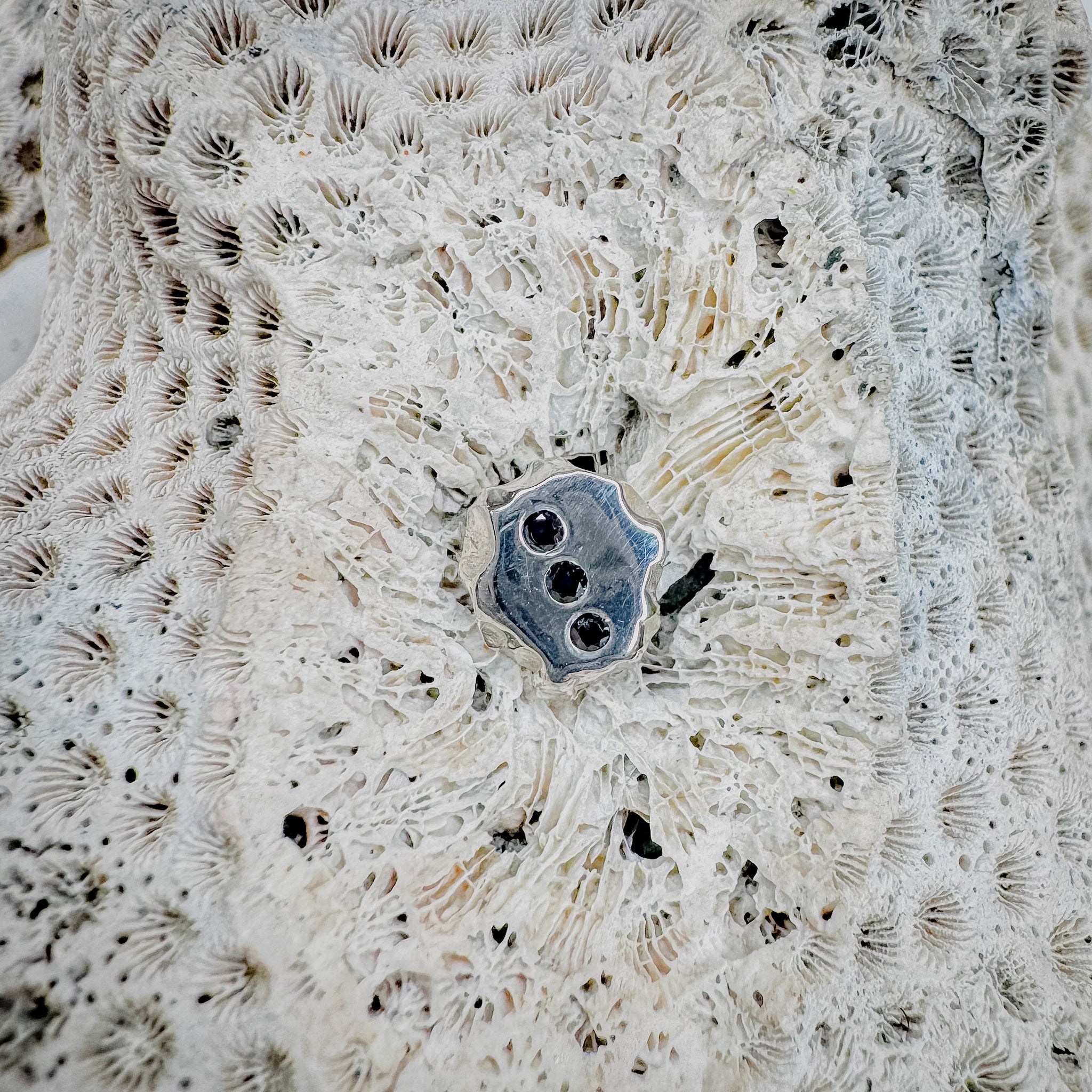 Rough Rock Stud Earrings