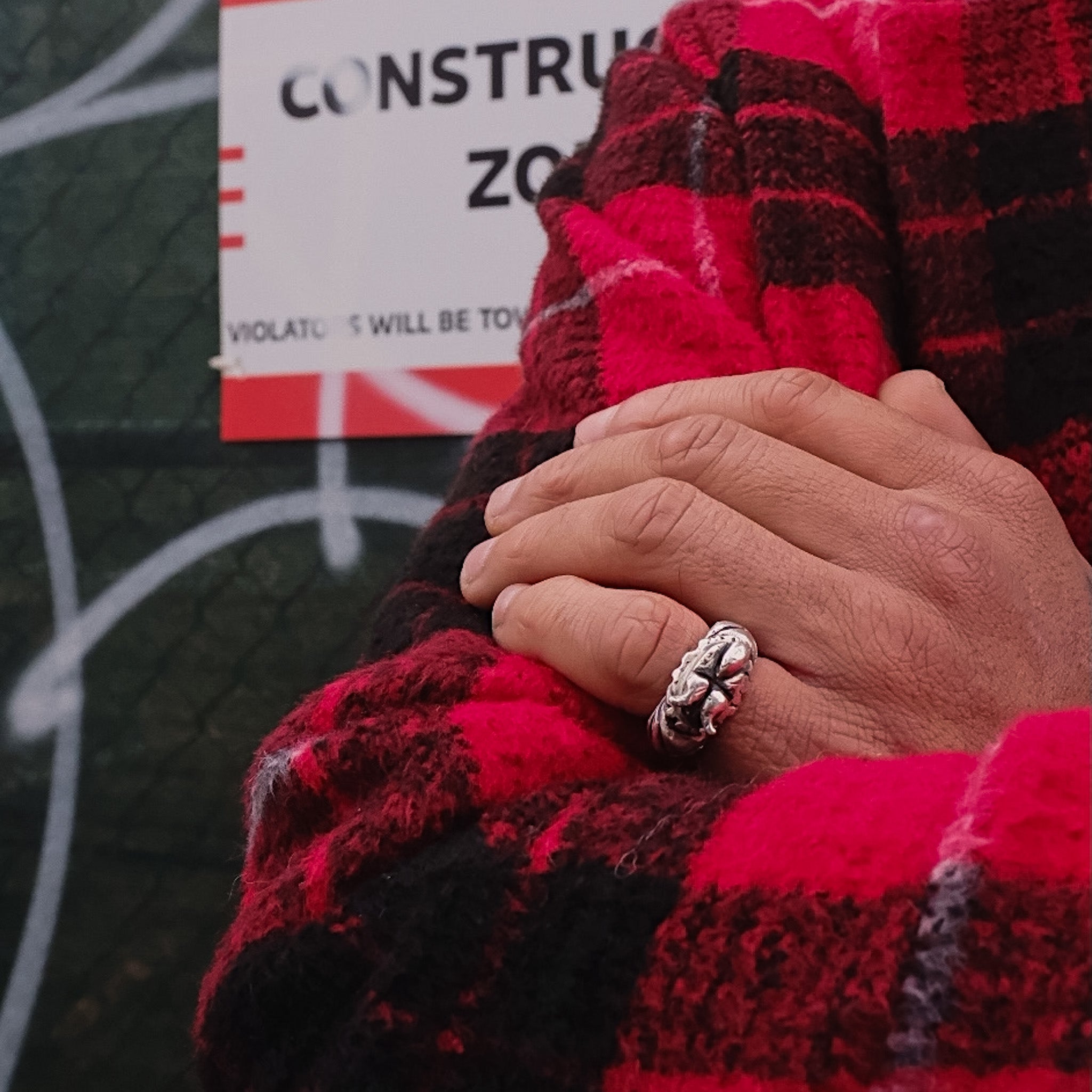 THE MORNING STROLL BUG