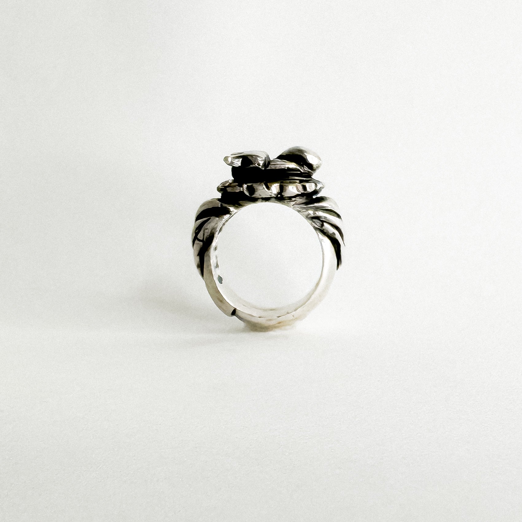 THE MORNING STROLL BUG