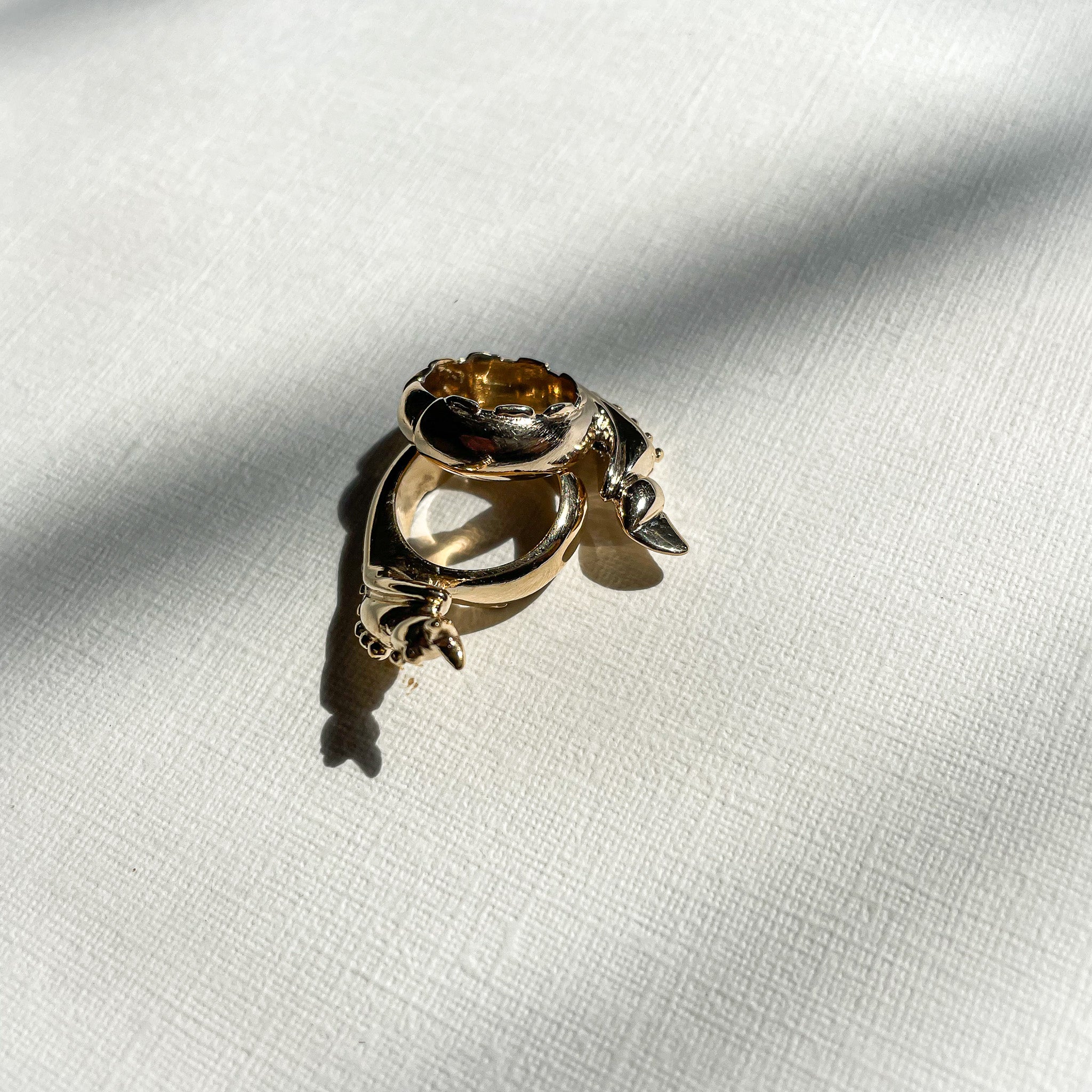 THE GOLDEN LOVERS BUG