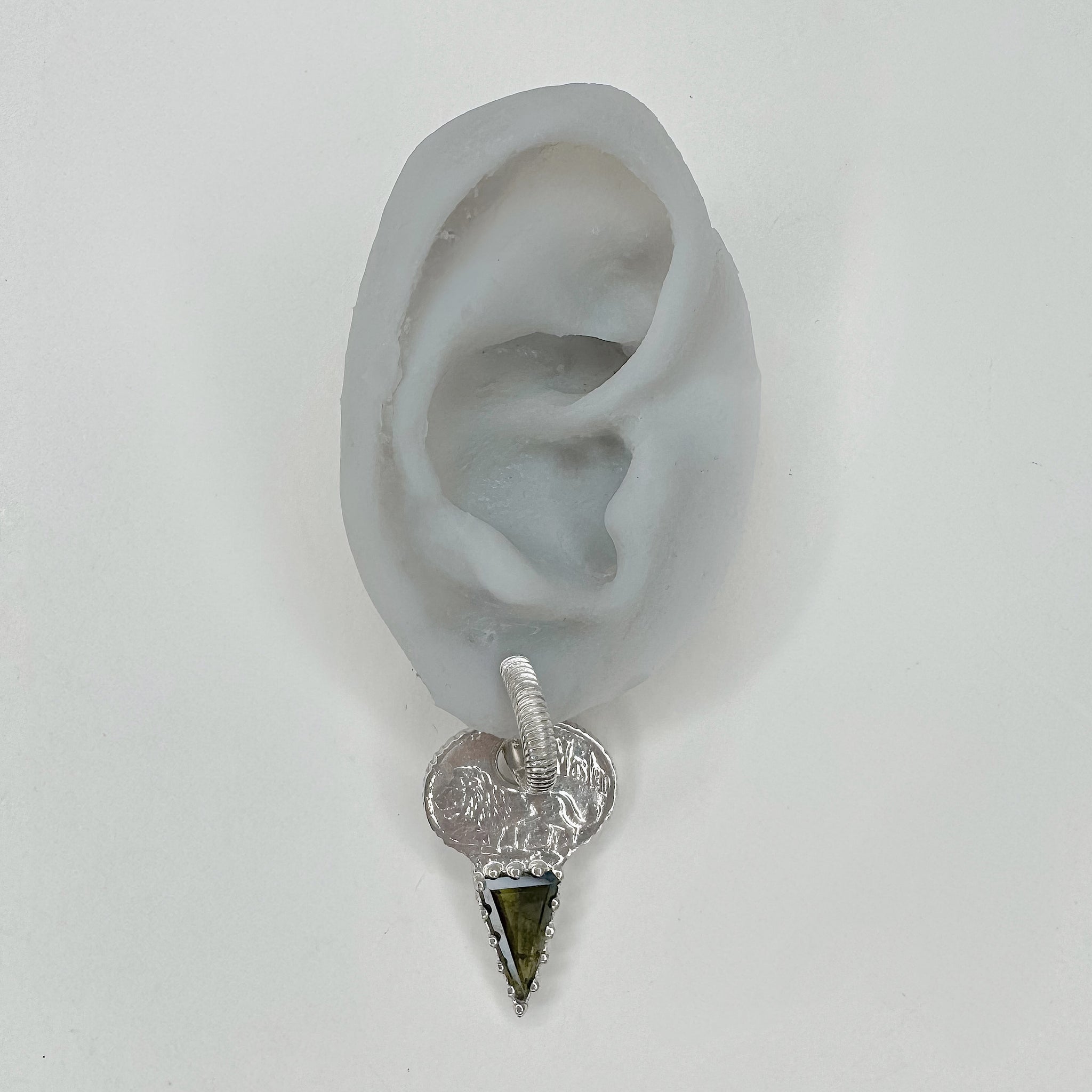 Lion Key Earrings Set