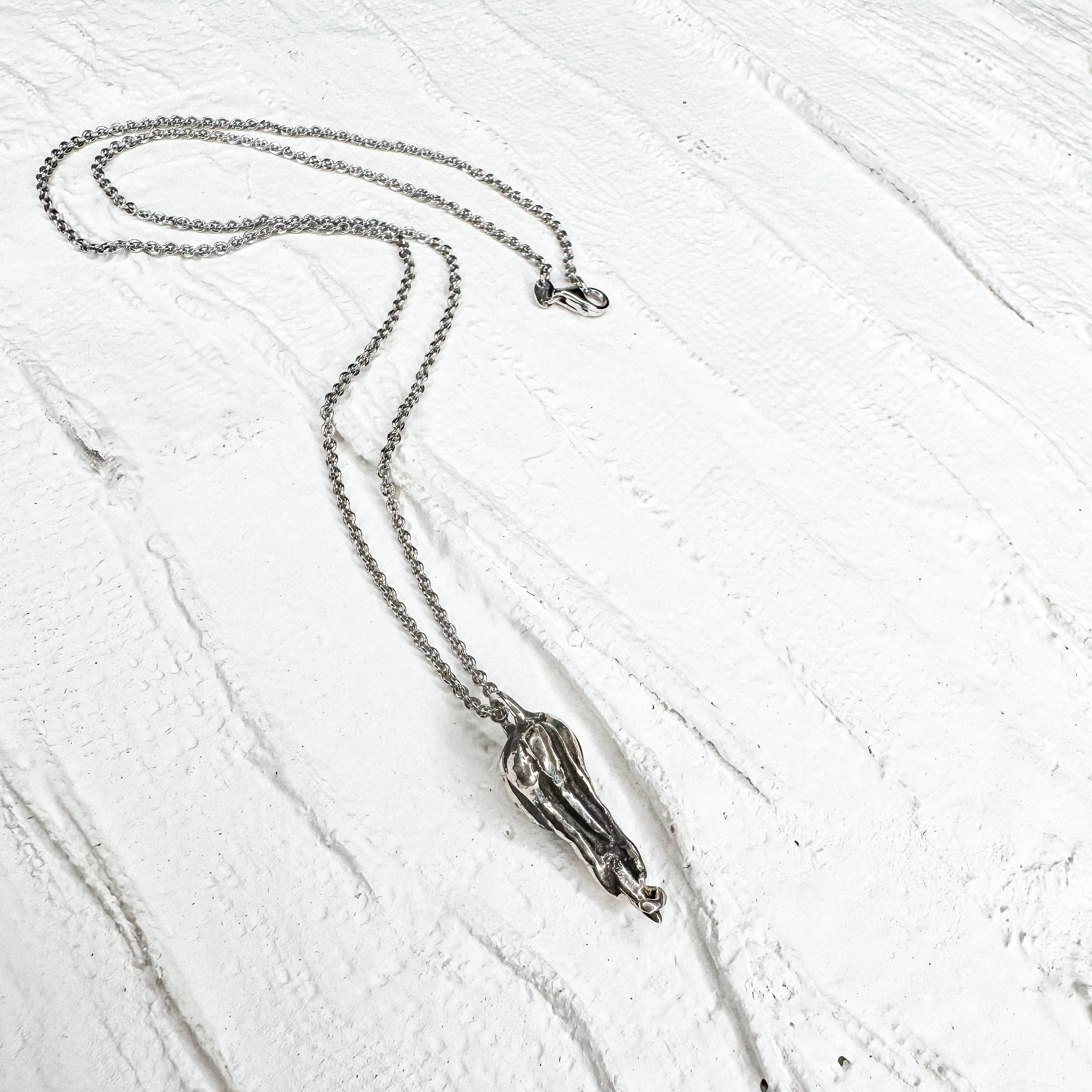 Sand Tiger baby shark tooth necklace