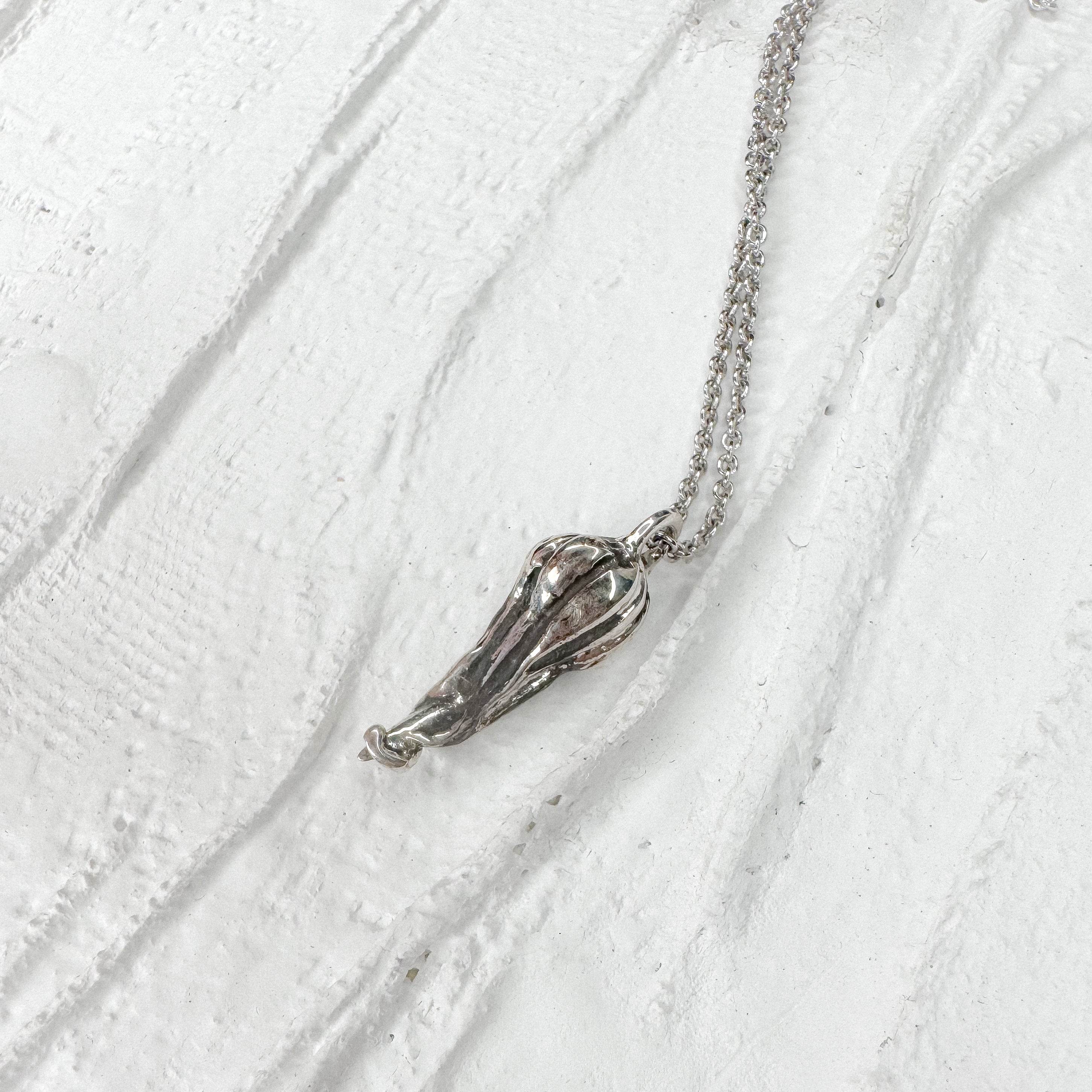 Sand Tiger baby shark tooth necklace