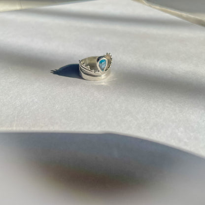 Net Ring