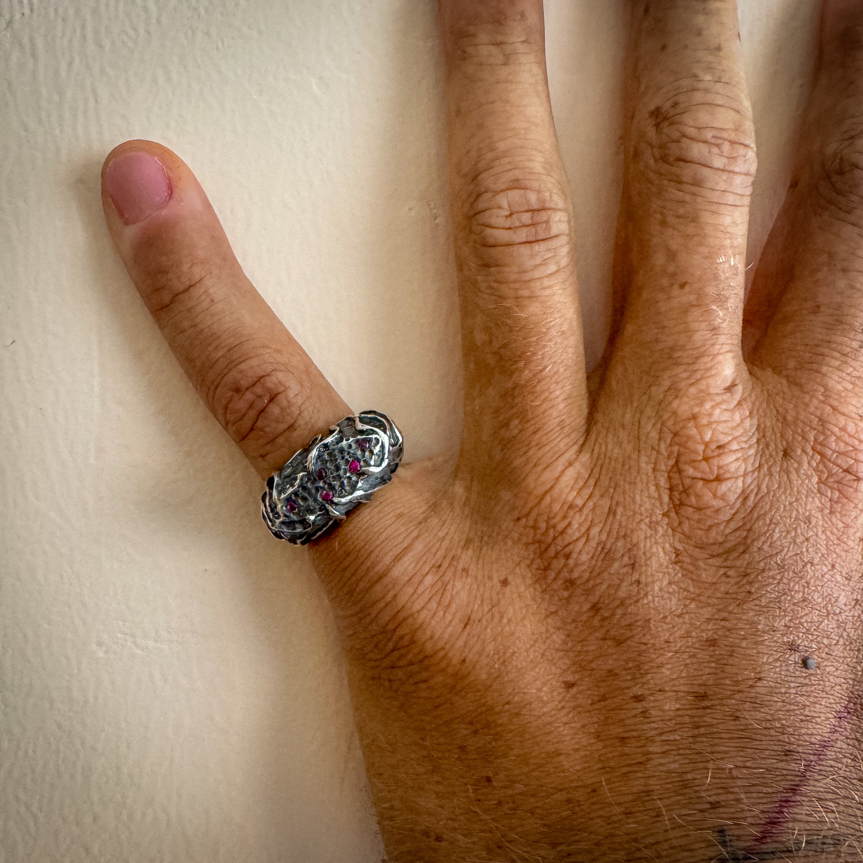 Fault Earth Ring